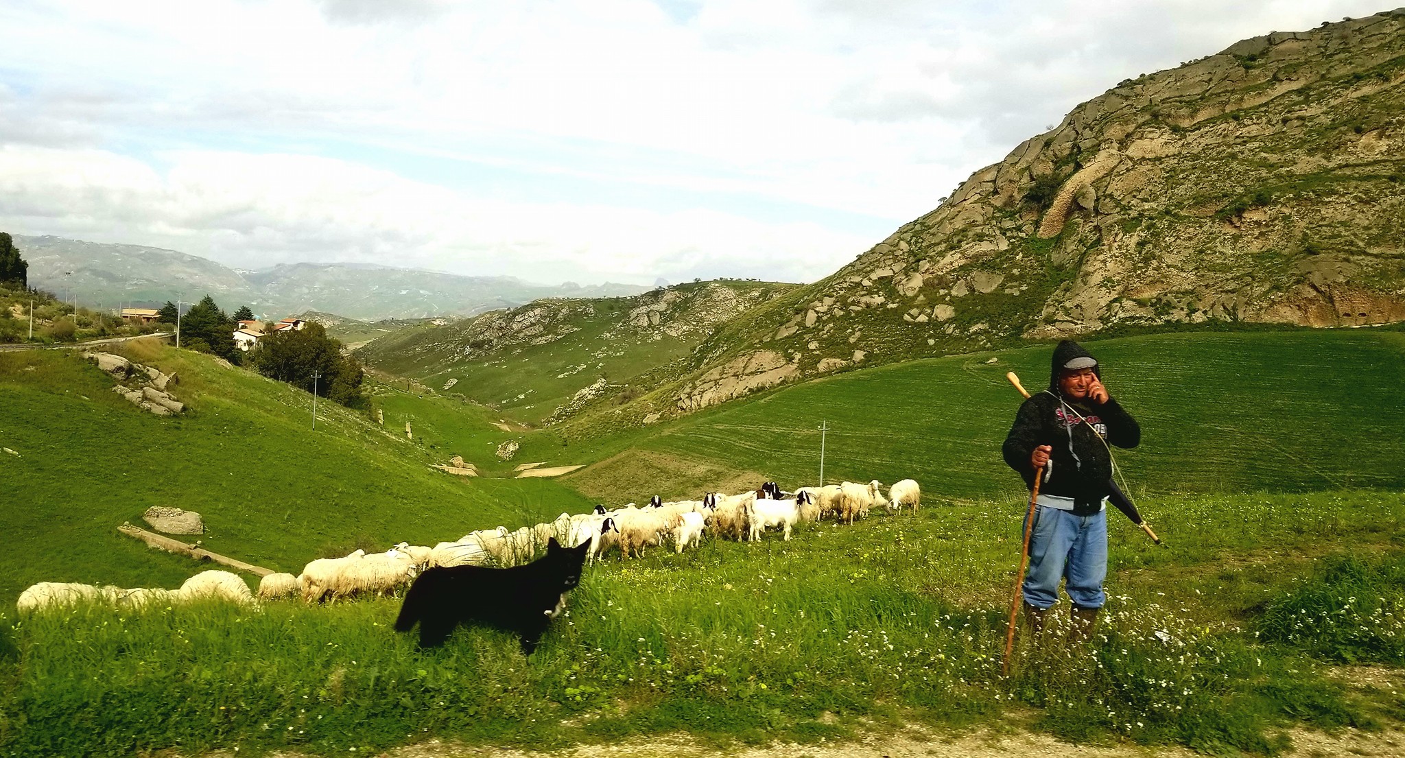 Sicily_Shepherd-1