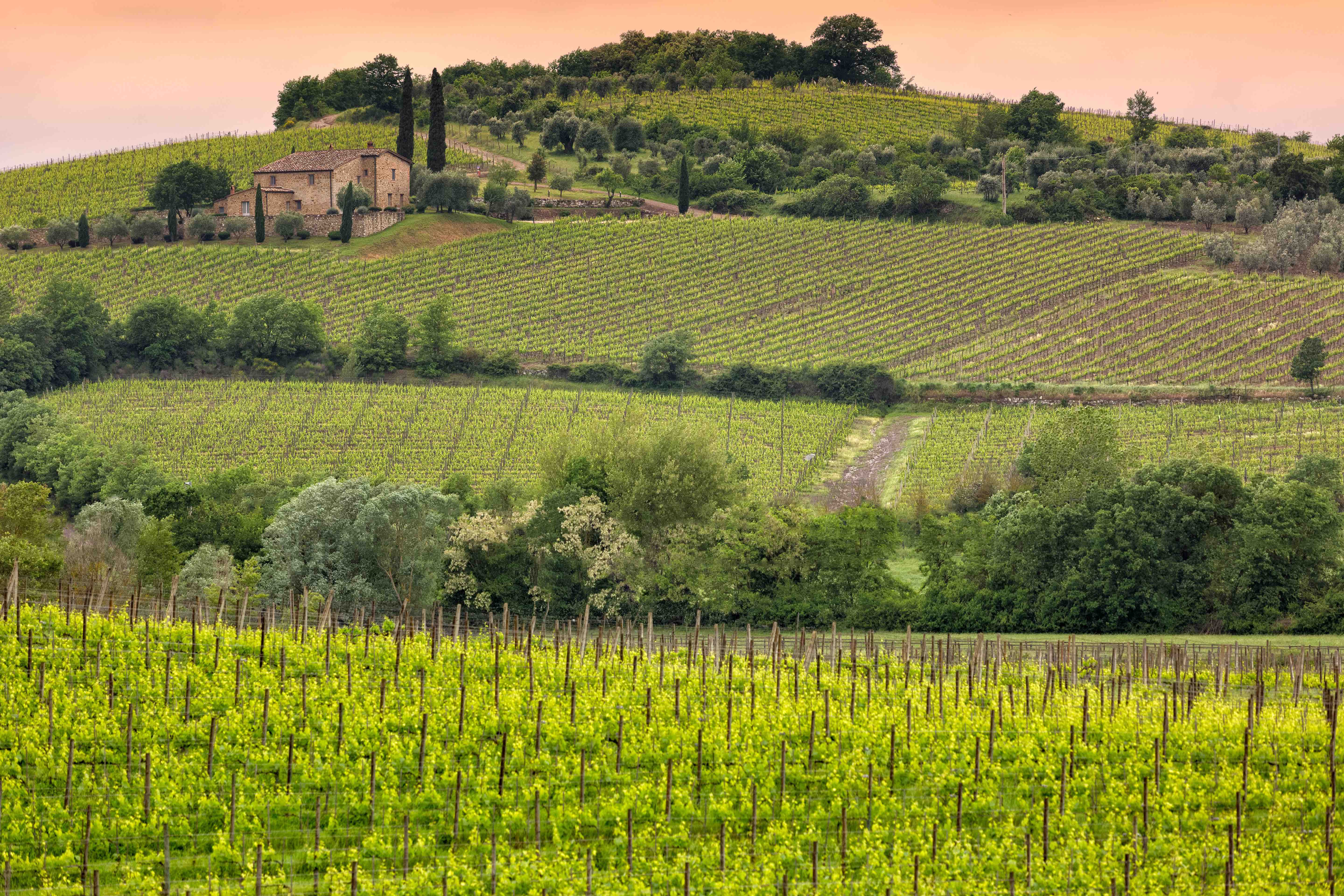 Brunello_Winery-1