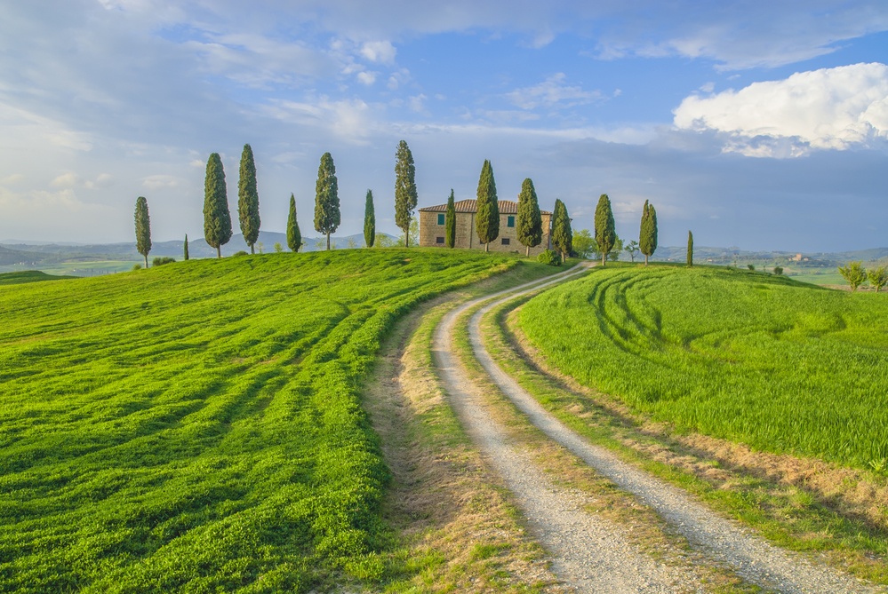 Tuscany_Country_Road