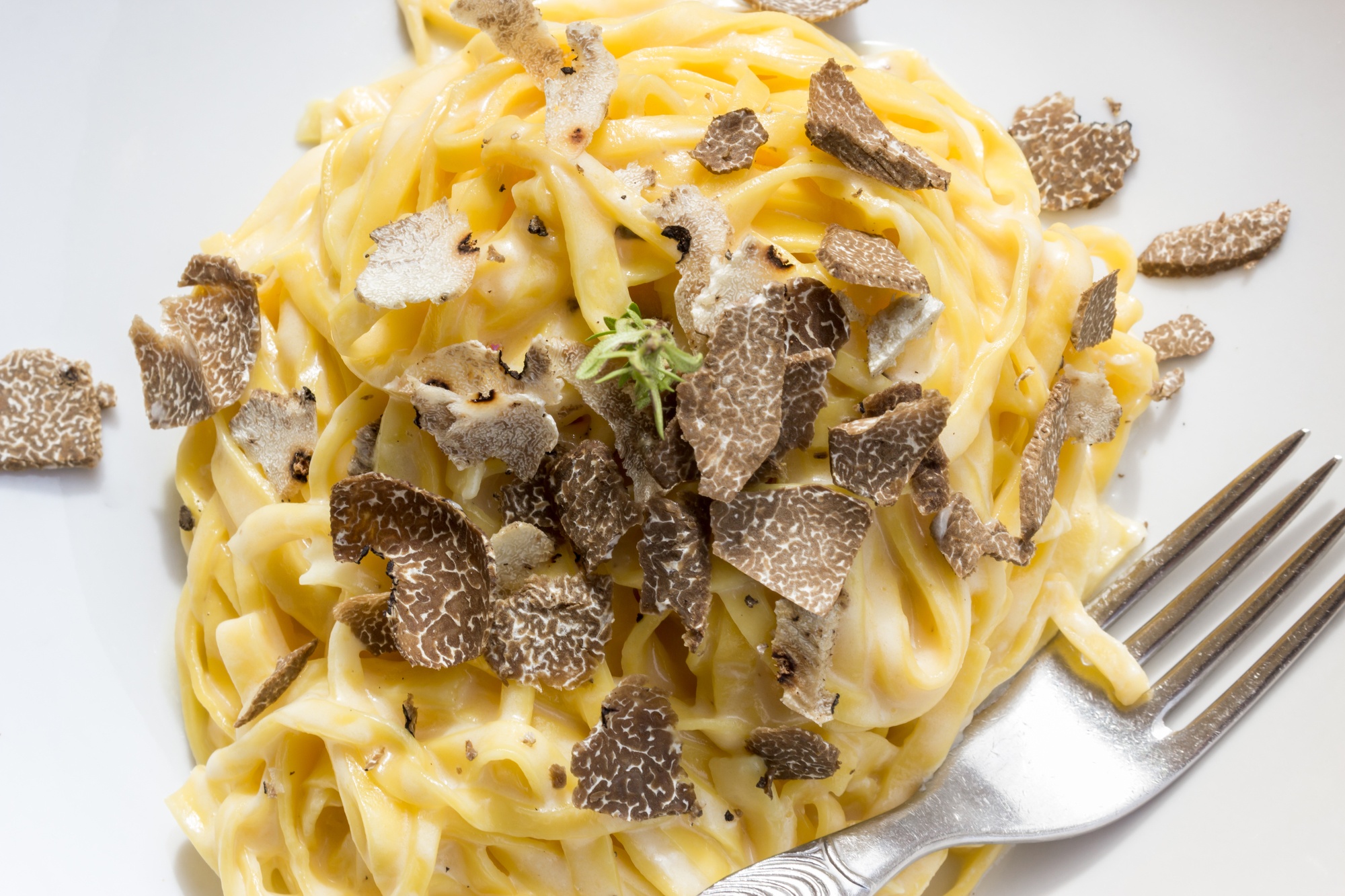 Tuscany_Truffle