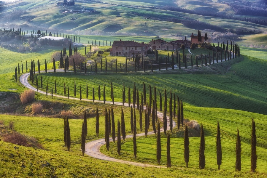 Tuscan_Cypresses_Road-1-1